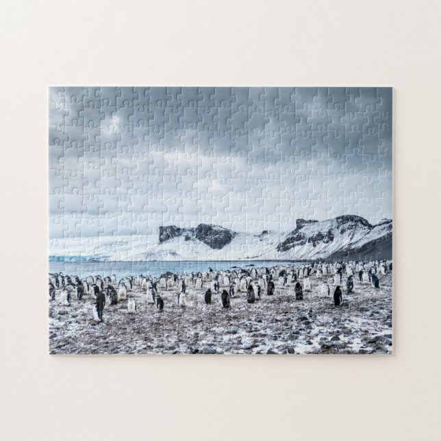 Puzzle Paysage de colonie de pingouin de jugulaire (Horizontal)