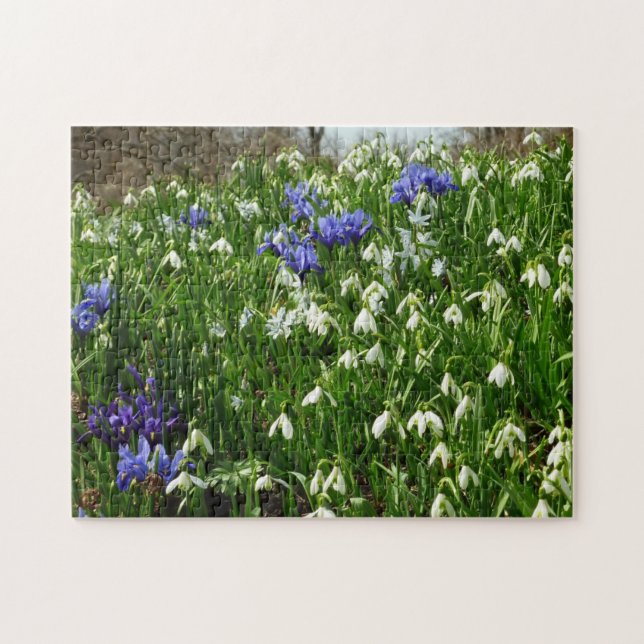Puzzle Paysage des fleurs du début du printemps (Horizontal)