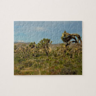 Puzzle Paysage désertique du parc national de Joshua Tree