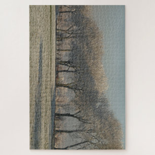 Puzzle Paysage d'hiver
