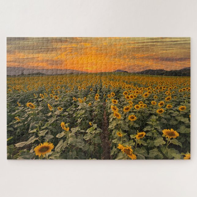 Puzzle Paysage du coucher du soleil Nature Terrain de tou (Horizontal)