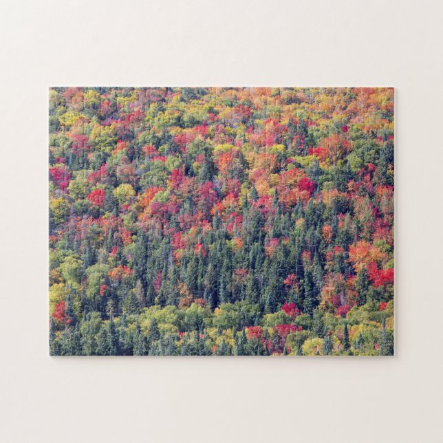 Puzzle Paysage forestier d'automne (Horizontal)