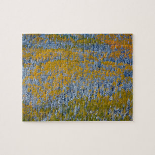 Puzzle Paysage forestier en automne