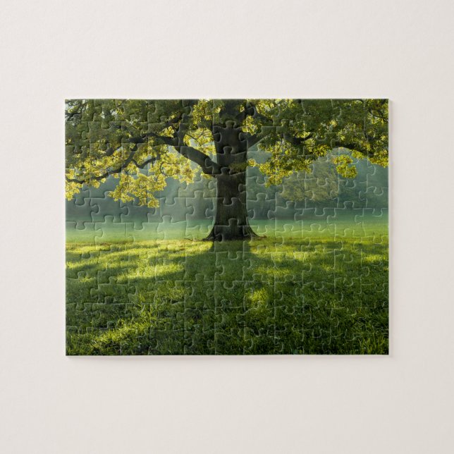 Puzzle Paysage forestier Nature sauvage (Horizontal)