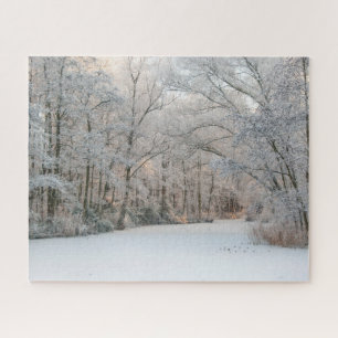 Puzzle Paysage hivernal de neige, 520 pièces Jigsaw Puzzl