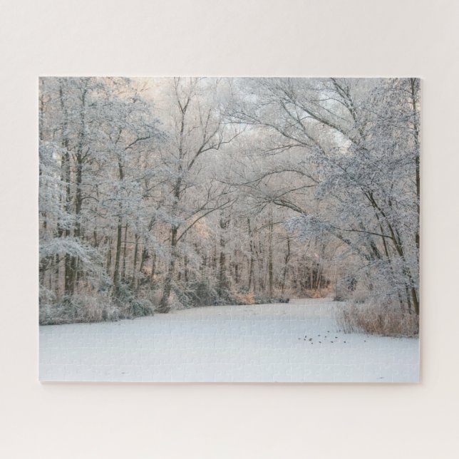 Puzzle Paysage hivernal de neige, 520 pièces Jigsaw Puzzl (Horizontal)