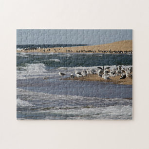 Puzzle Paysage marin de Cape Cod avec des oiseaux de