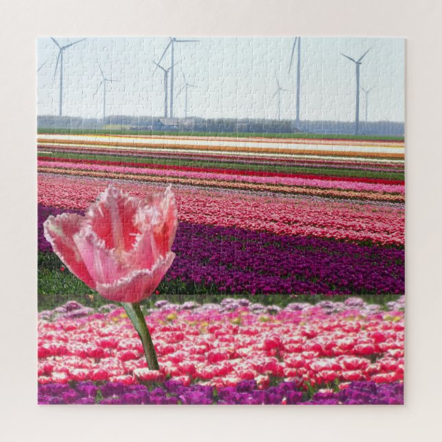 Puzzle paysager : Champ de tulipes violettes roses (Vertical)