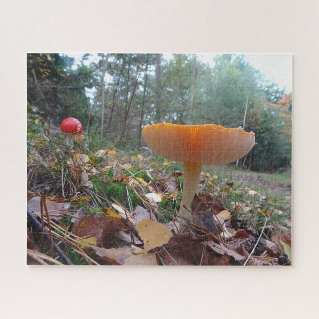 Puzzle paysager : Deux mignons Amanitas de vol (Horizontal)