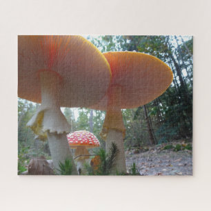 Puzzle paysager : Voler Amanitas dans Forrest