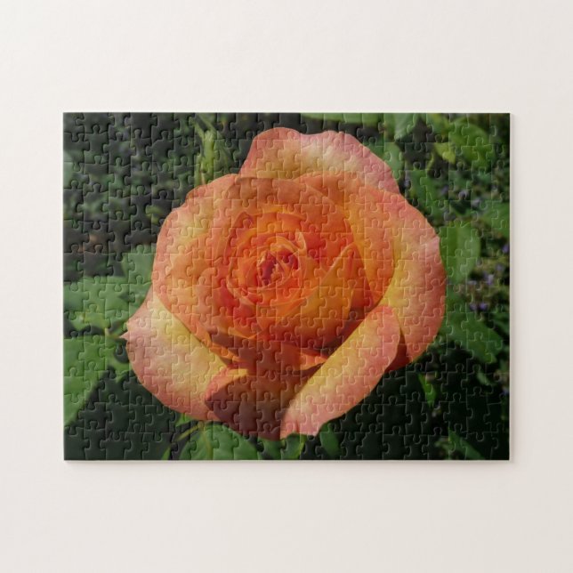Puzzle Peach Rose Orange Floral Photographie (Horizontal)