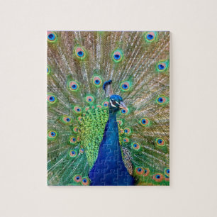 Puzzle Peacock