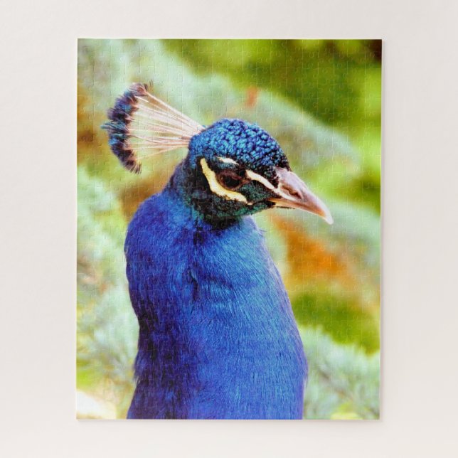 PUZZLE PEACOCK  (Vertical)