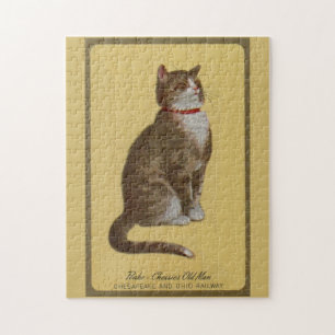 Puzzle Peake, le chat tabby de Chessie