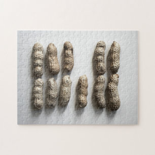 Puzzle Peanuts Still Life Fine Art Photographie