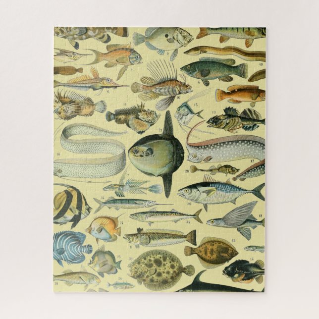 Puzzle Pêche scientifique vintage (Vertical)