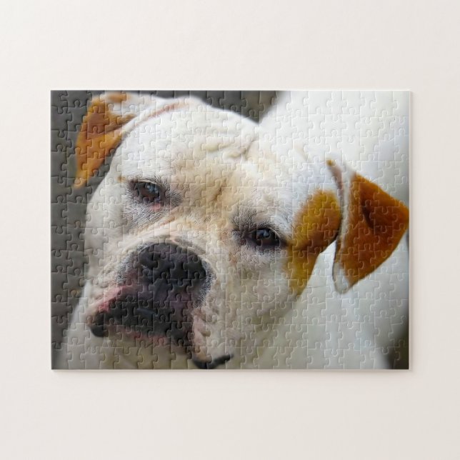 Puzzle Pedigree Bulldog. (Horizontal)