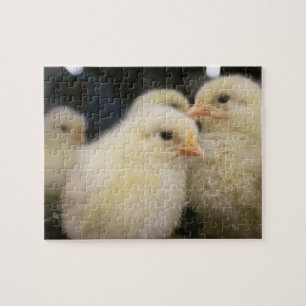 Puzzle Peeps