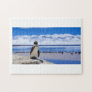 PUZZLE PÉGUIN DE GLACE