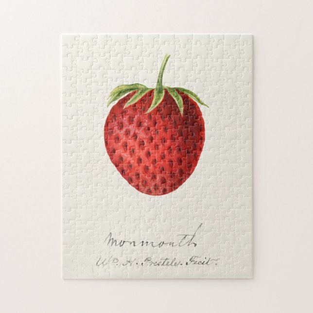 Puzzle Peinture à l'aquarelle de fraise (Fragaria) (Vertical)