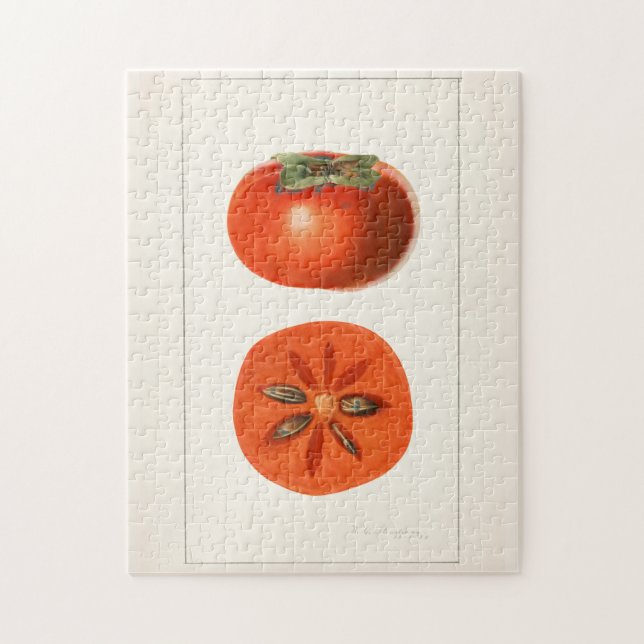Puzzle Peinture à l'aquarelle de fruits Persimmons (Vertical)