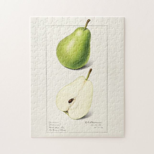 Puzzle Peinture à l'aquarelle de fruits (Pyrus Communis) (Vertical)