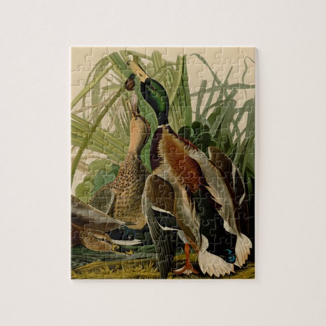 Puzzle Peinture d'oiseaux de Mallard Duck Audubon (Vertical)