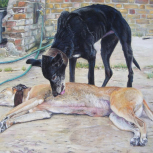 Puzzle peinture réaliste de deux mignons chiens gris