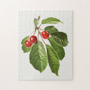 Puzzle Peinture vintage d'aquarelle de fruits de cerisier