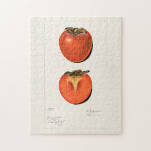 Puzzle Peinture vintage Persimmons Fruit Aquarelle