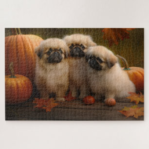 Puzzle Pekingese Chiot Automne Citrouille délice