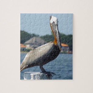 PUZZLE PÉLICAN