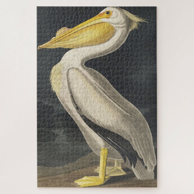 Puzzle Pélican blanc américain des oiseaux d'Amérique (Vertical)
