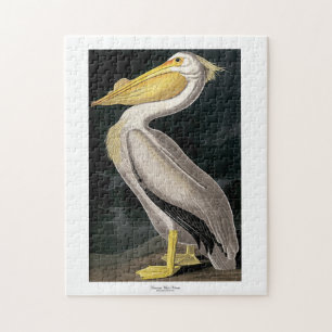 Puzzle Pélican blanc américain John James Audubon 11 x 14