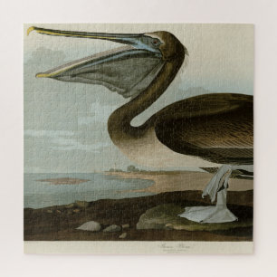 Puzzle Pélican Brown d'Audubon's Birds of America