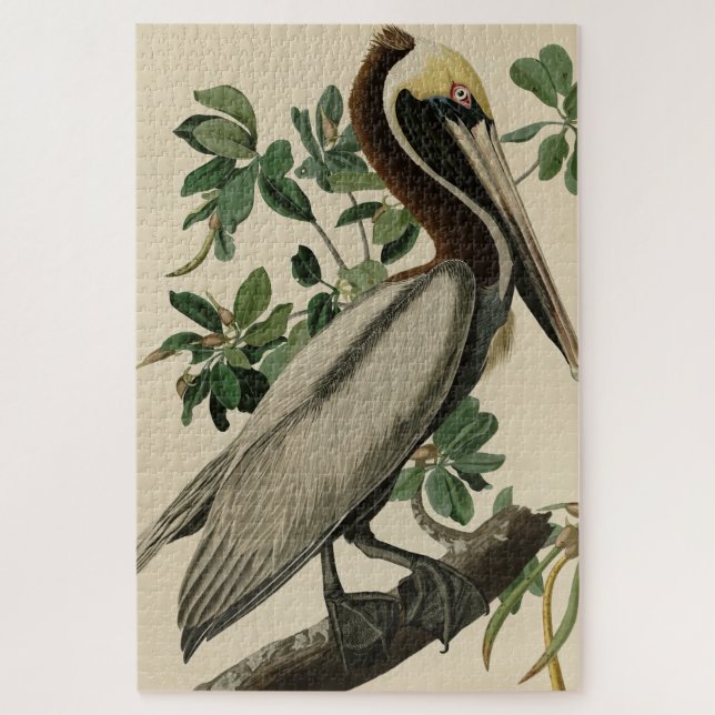 Puzzle Pélican Brown d'Audubon's Birds of America (Vertical)