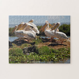 Puzzle Pélican d'Afrique