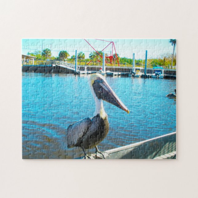 Puzzle Pélican Floride (Horizontal)