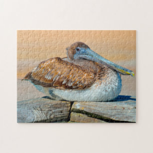 Puzzle Pélican Oiseau Floride.
