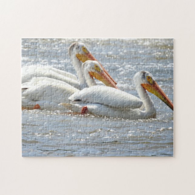 Puzzle Pélicans américains nager dans la rivière Mississi (Horizontal)