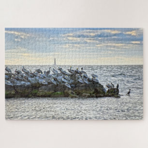 Puzzle "Pélicans et le phare, île Dauphin, AL