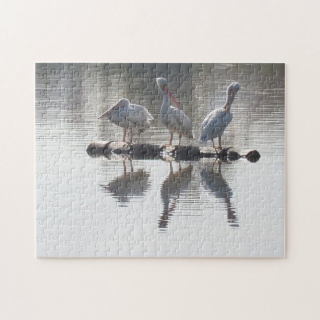 Puzzle - Pélicans et réflexions (Horizontal)