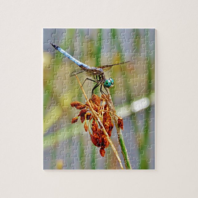 Puzzle Pelouse de berge et libellule (Vertical)