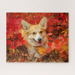 Puzzle Pembroke Welsh Corgi Chien chiot en Feuille rouge