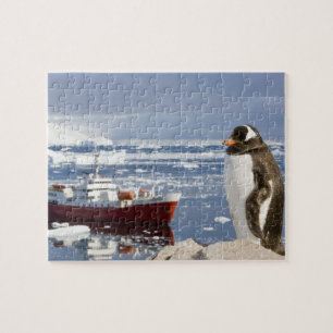 Puzzle Penguin Gentoo