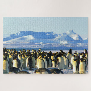 Puzzle Penguins