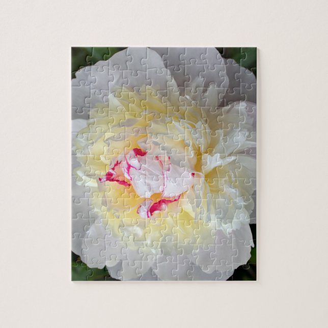 Puzzle Peony Passion (Vertical)