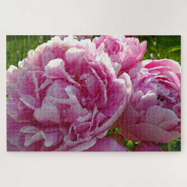 Puzzle Peony rose | gîte ferme jardin fleuri (Horizontal)