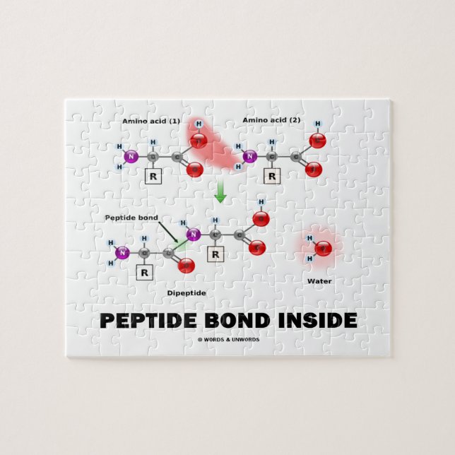 Puzzle Peptide Bond à l'intérieur des molécules chimiques (Horizontal)