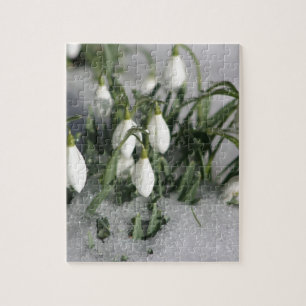 Puzzle Perce-neige